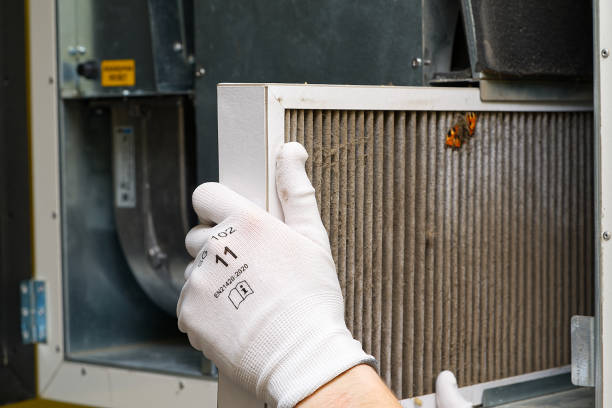 Best Ductwork Cleaning Services  in Mentone, CA
