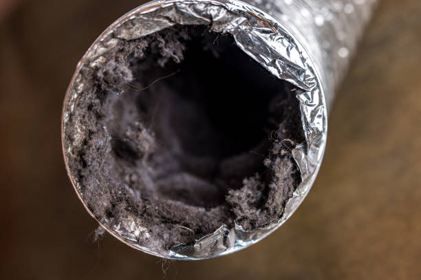 Best Commercial Air Duct Cleaning  in Mentone, CA